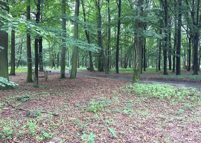 Studentska Rezidence Vista *